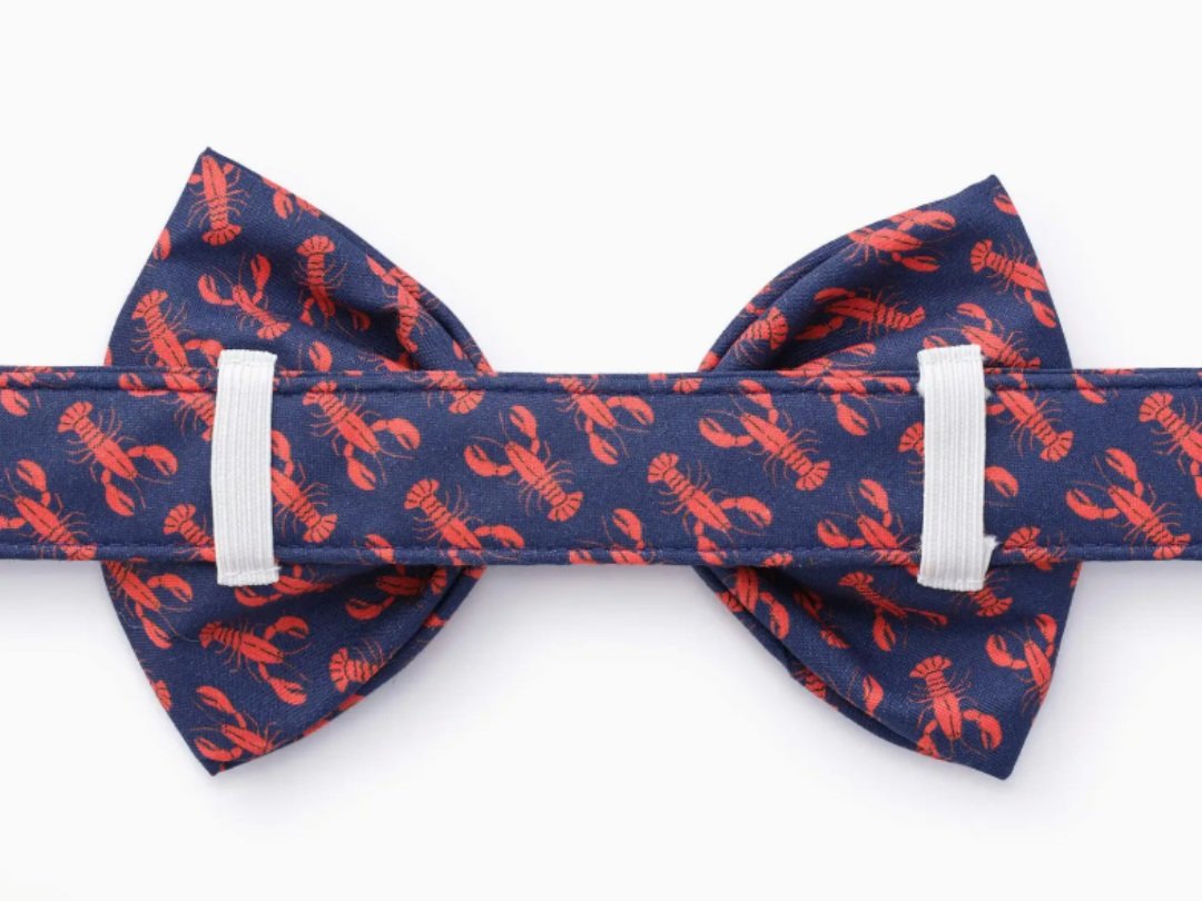 Catch+of+the+Day+Summer+Bow+Tie+2.jpg