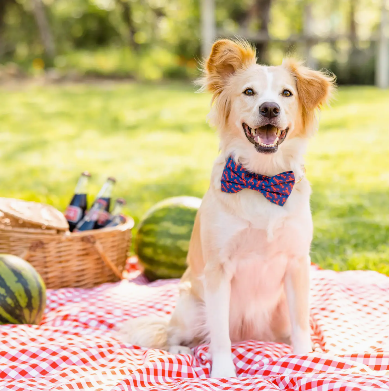 Catch of the Day Summer Bow Tie 3.png