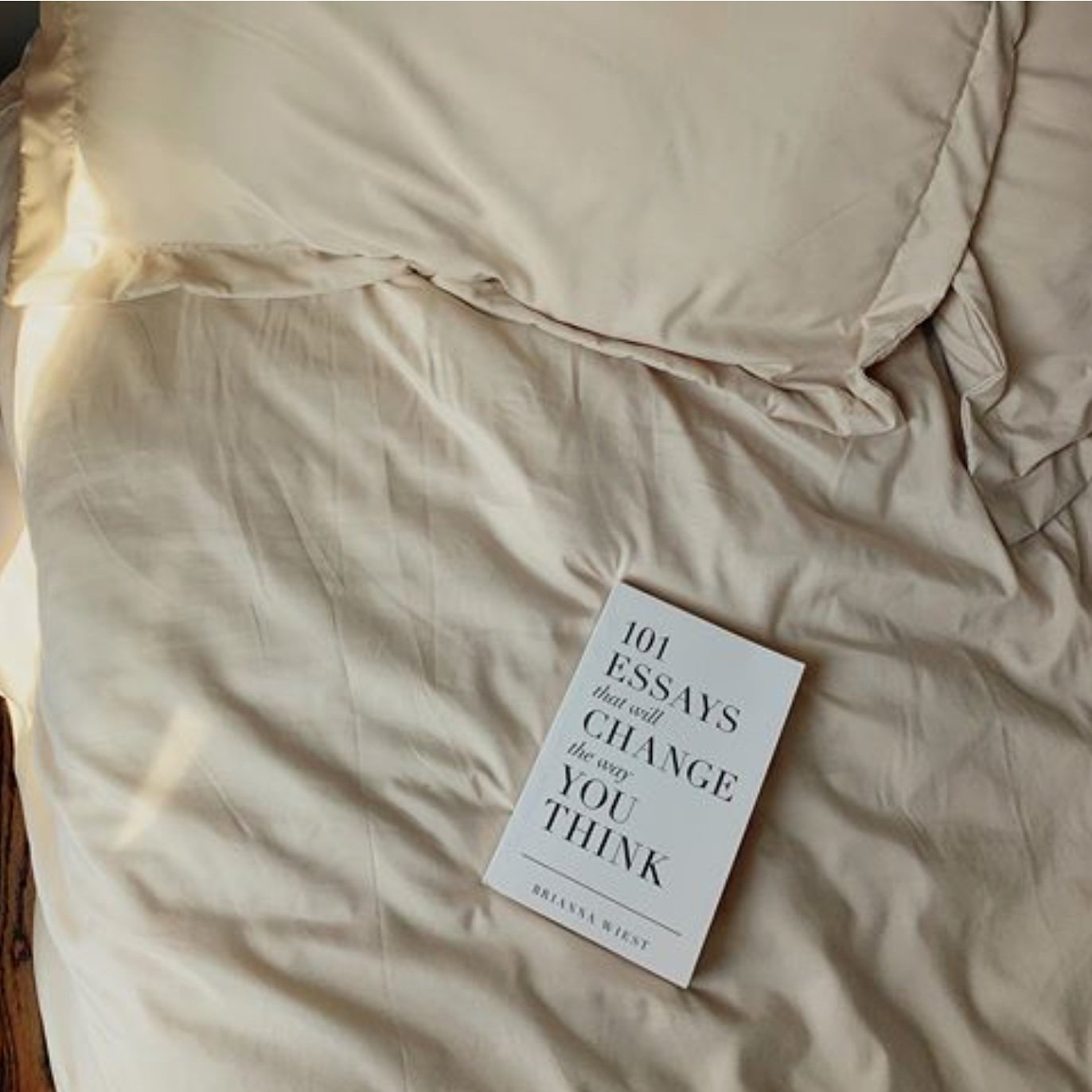 101+Essays+That+Will+Change+the+Way+You+Think+Book+2.jpg