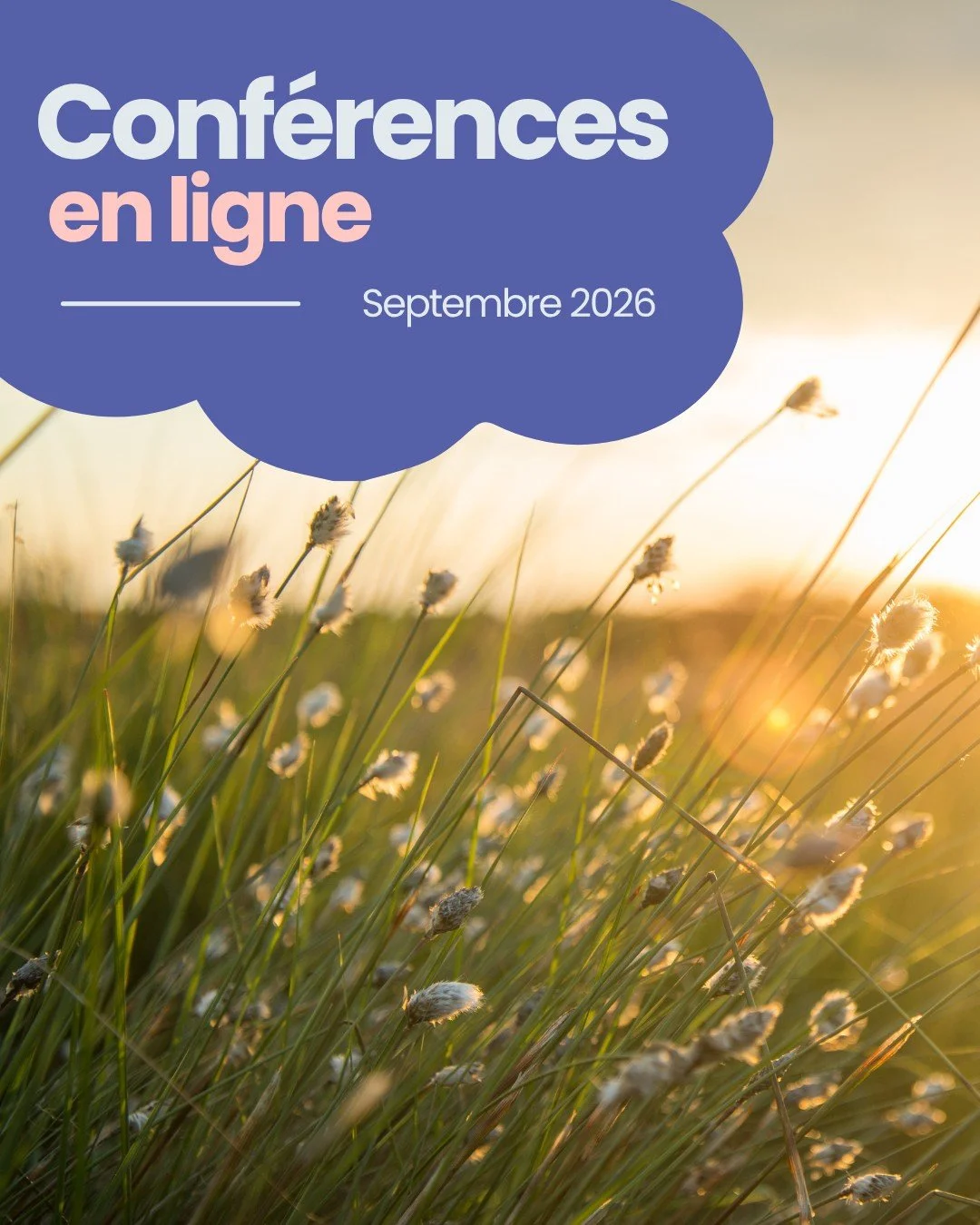 Nos conf&eacute;rences en ligne de septembre ! 💜
Profitez du mois de septembre pour en apprendre davantage sur les troubles neurocognitifs et d&eacute;couvrir diff&eacute;rentes fa&ccedil;ons de mieux les comprendre. 🧠

 📅 2 septembre - Webinaire 