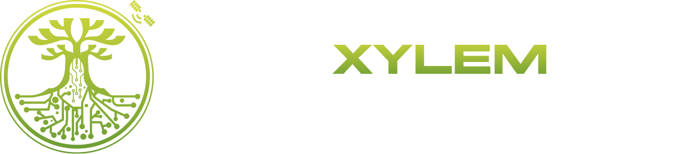 XylemLab