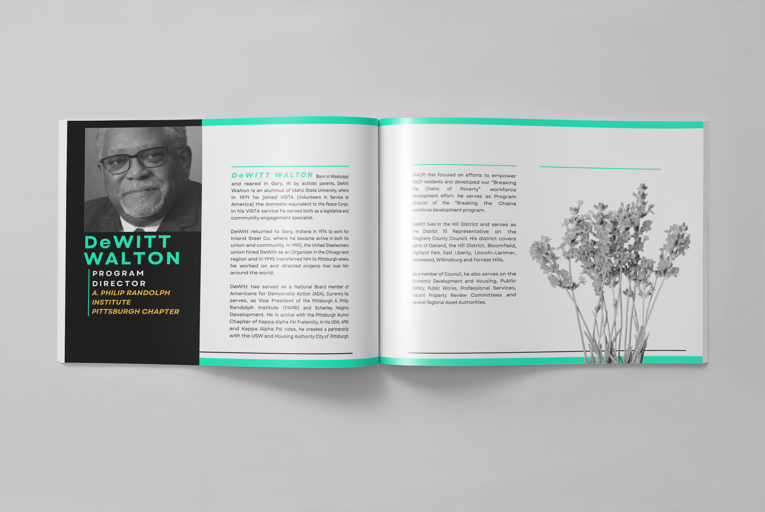 APRI-FullGalaBookMockup-9-10.png