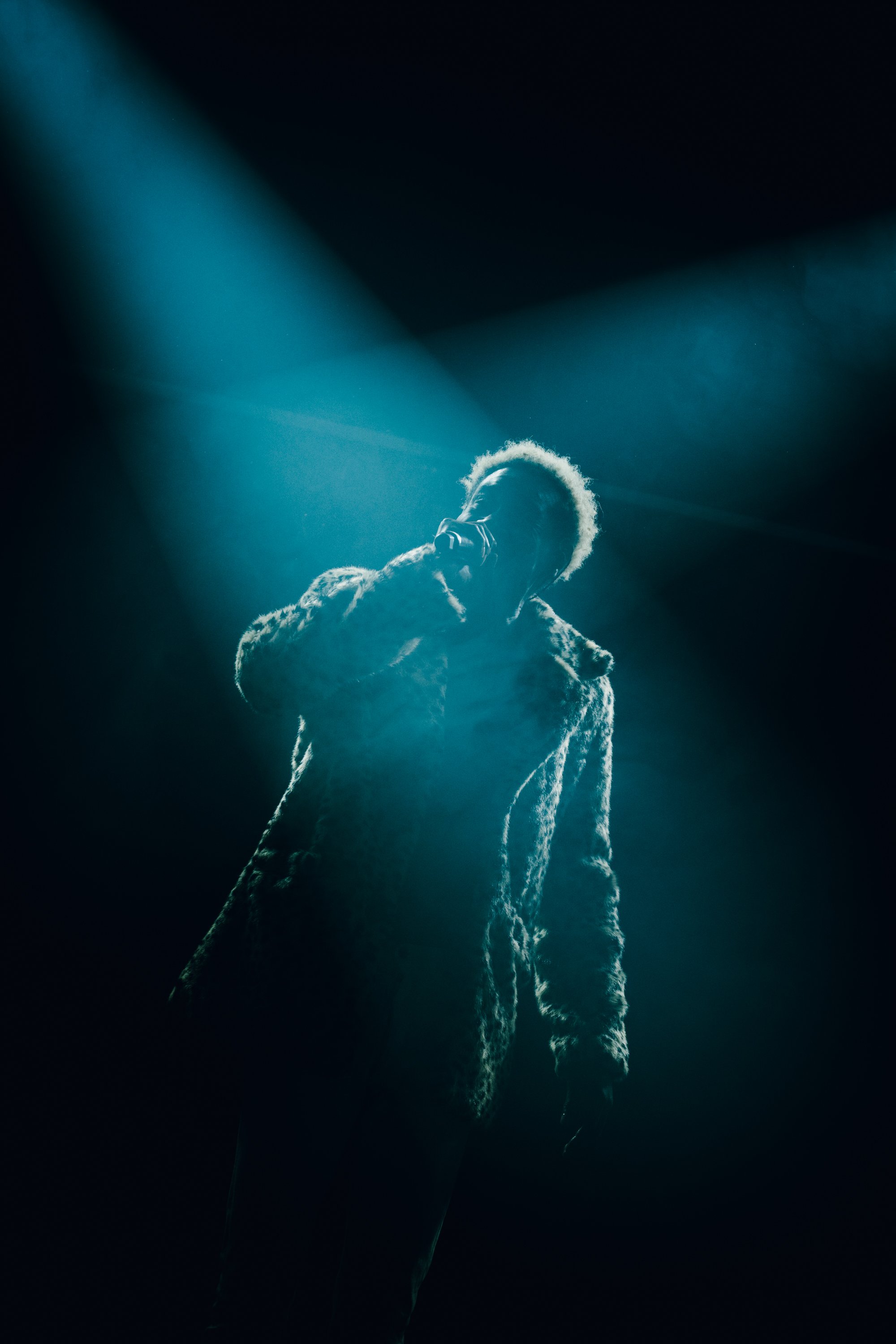 Danny Brown @ The Commodore - Brandon Artis-3.jpg