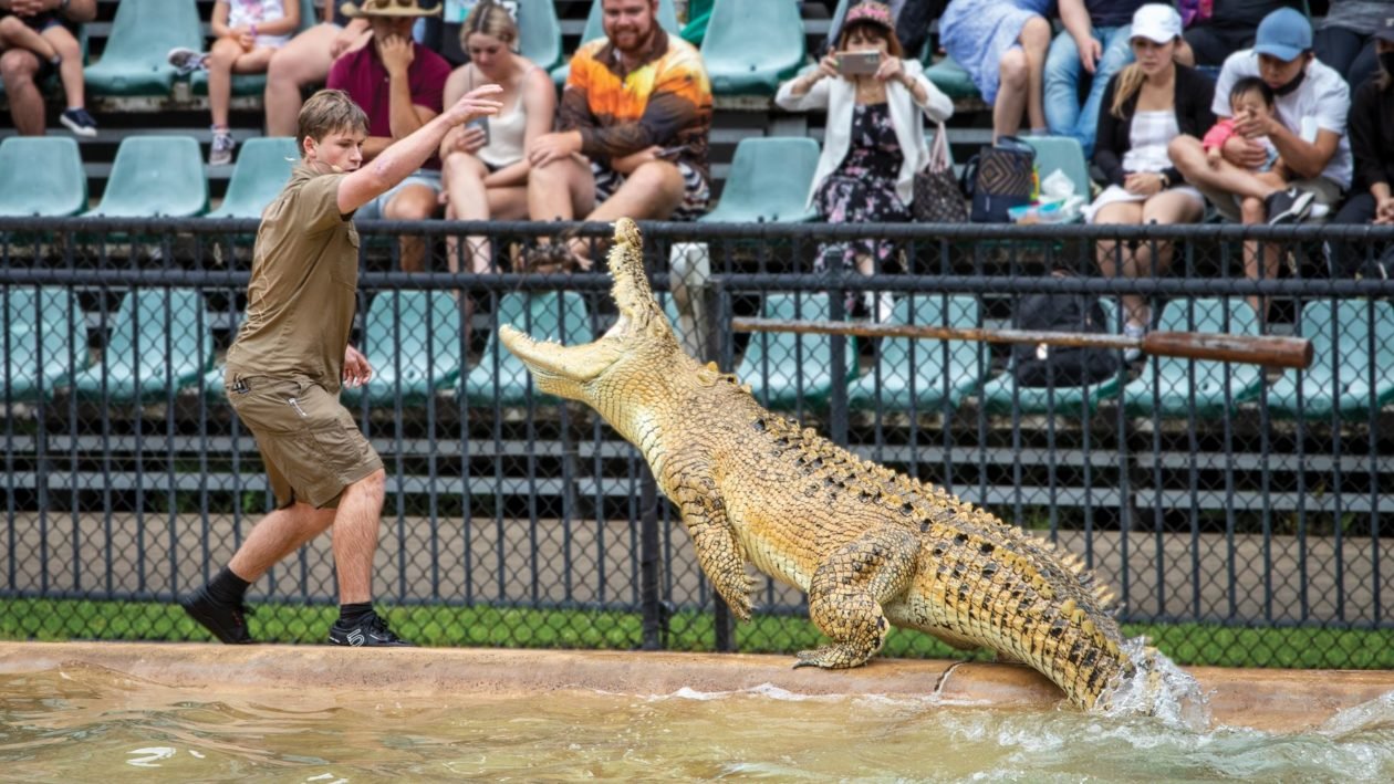 AussieZoo-1260x709.jpeg