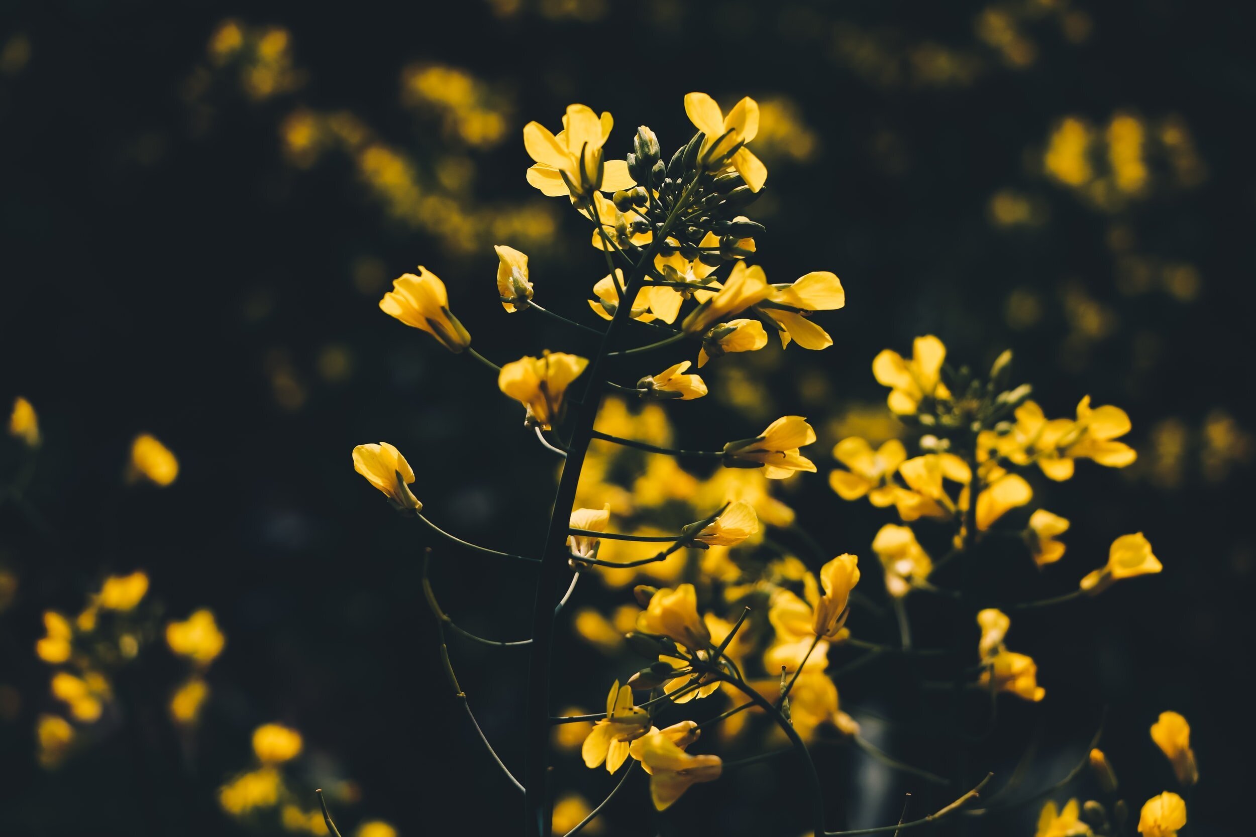 Latest Blog Post