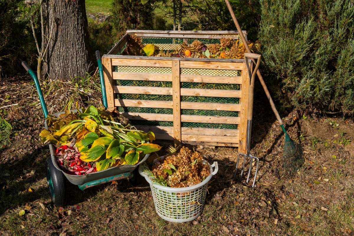 Food Waste Today, Garden Gold Tomorrow