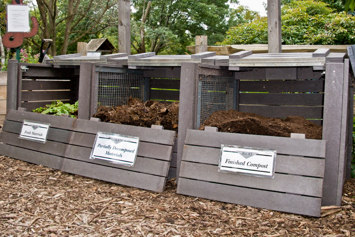 Composting: Where to Start