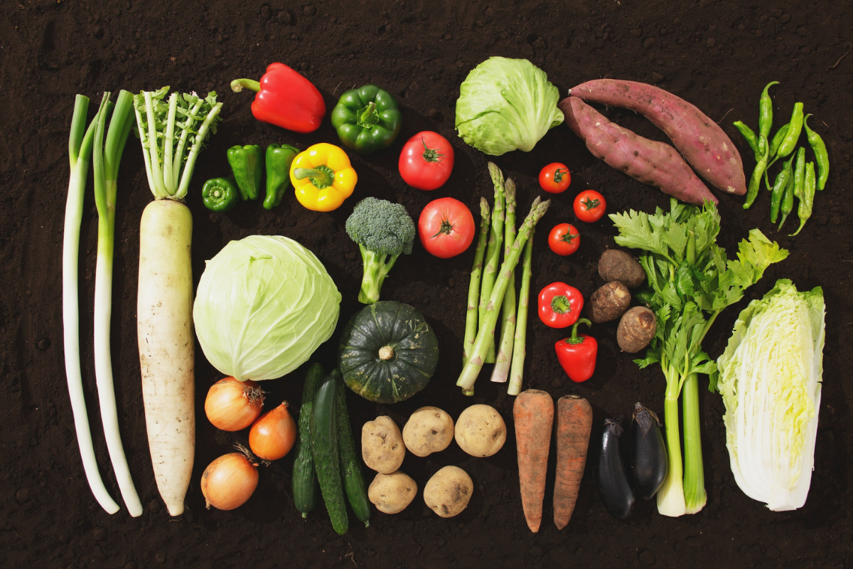 Veggie Tales: Storing Your Veg
