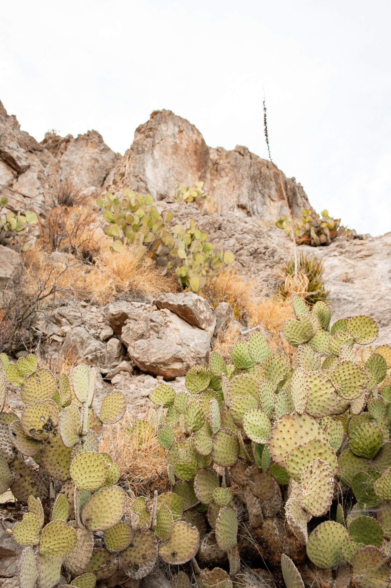 Santa Elena Canyon - Big Bend National Park, photograph by Beckie Irvin Studio