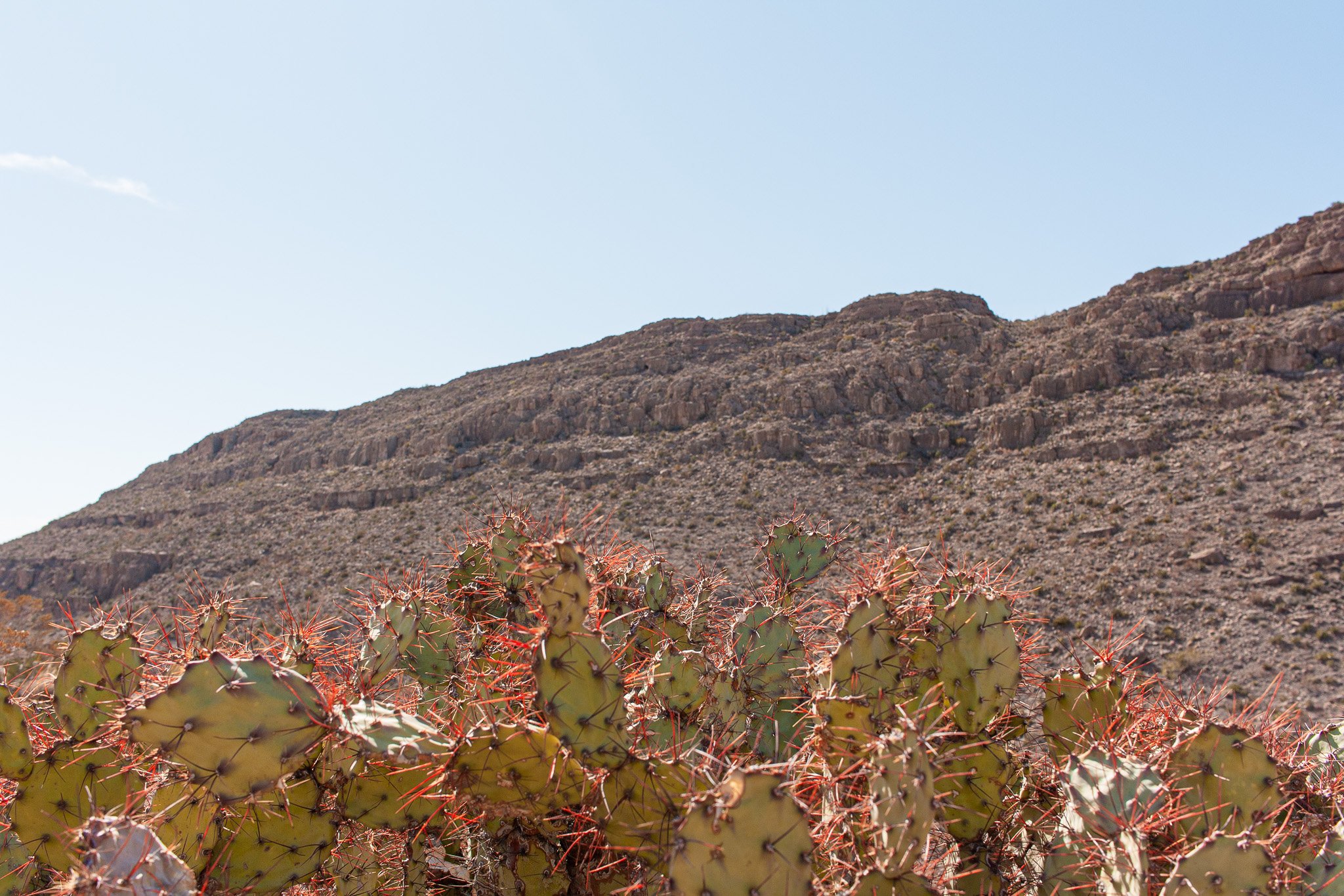 BeckieIrvin_BigBend2024-046.jpg
