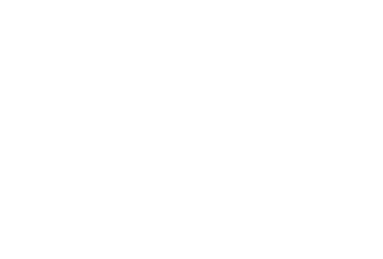 Etiqueta de garantía eléctrica que indica una garantía de 8 años o 160,000 kilómetros, con un rayo en la parte superior.