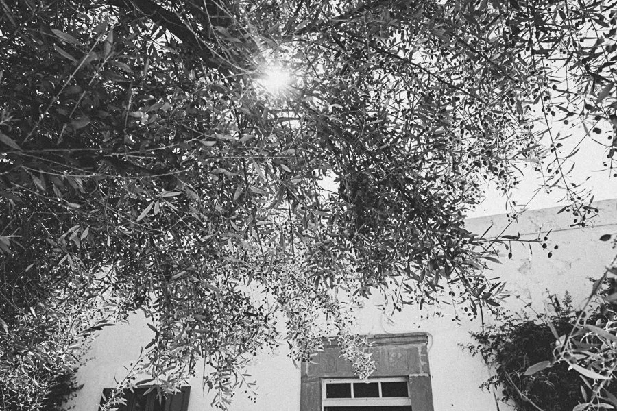 2025 WEB BW Lachania wedding Kadja Adrien-4.jpg