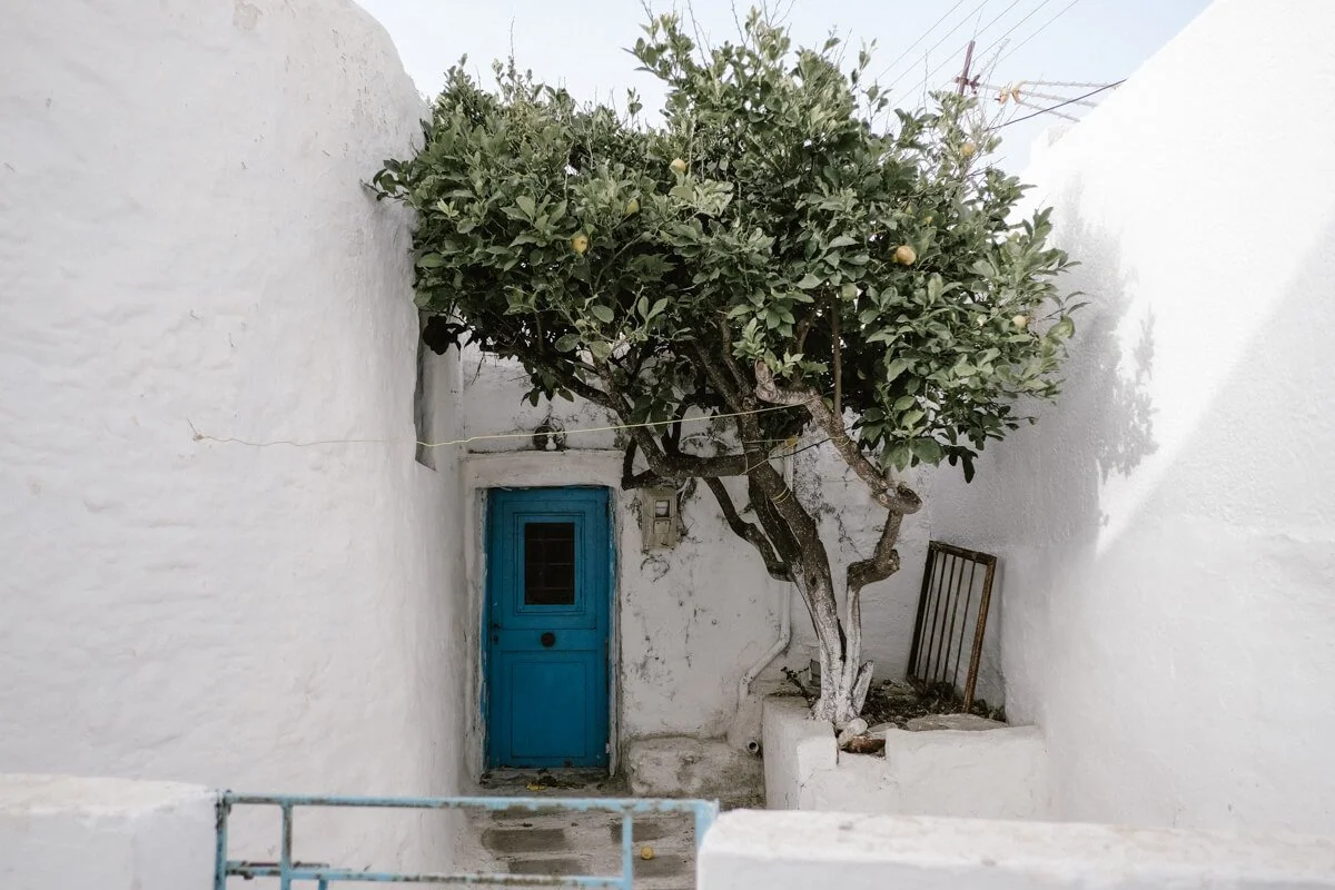 TRAVEL-PHOTOGRAPHY-FOLEGANDROS-SIKINOS-IOS-SANTORINI-752.jpg