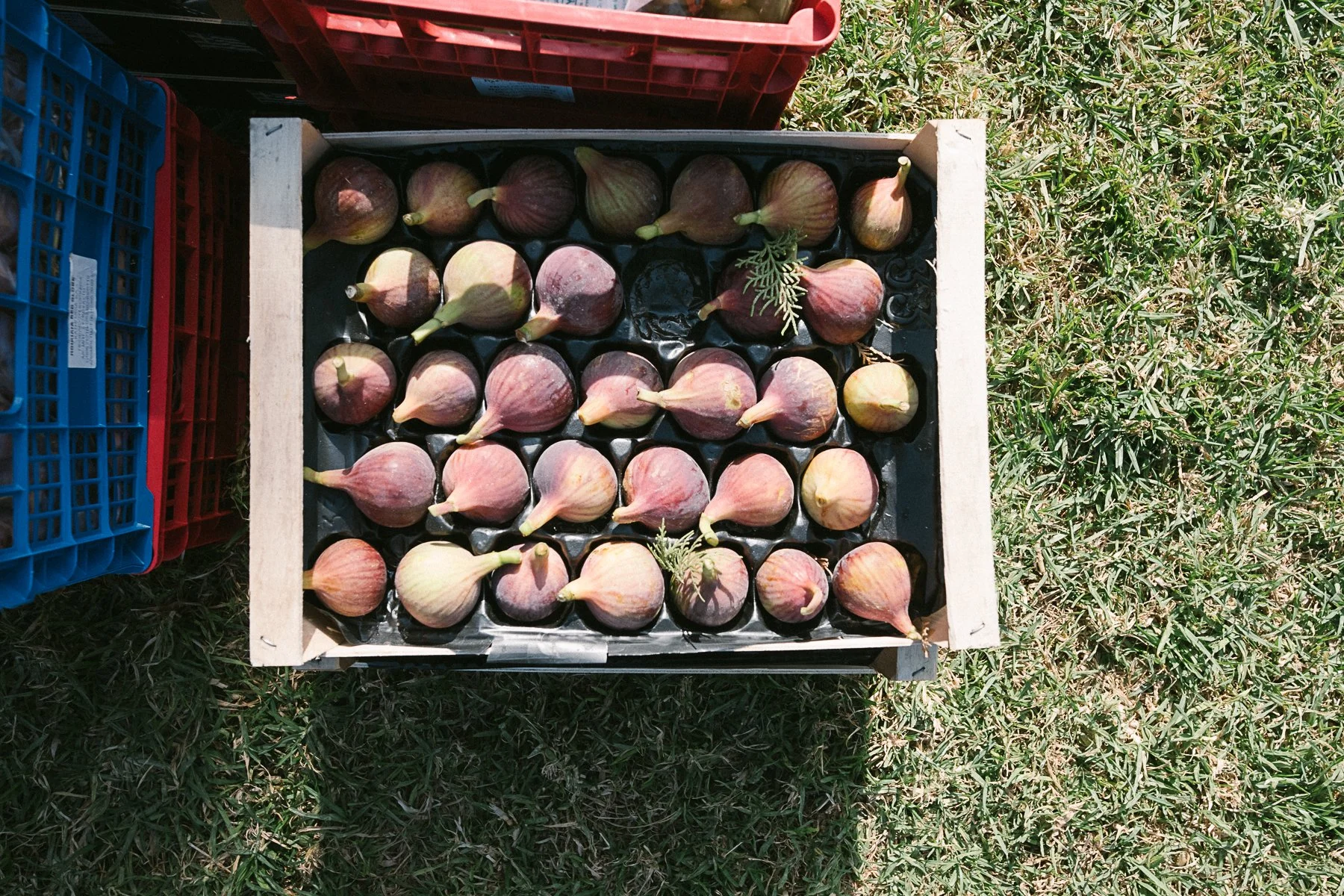 Four Sustainable Decorations