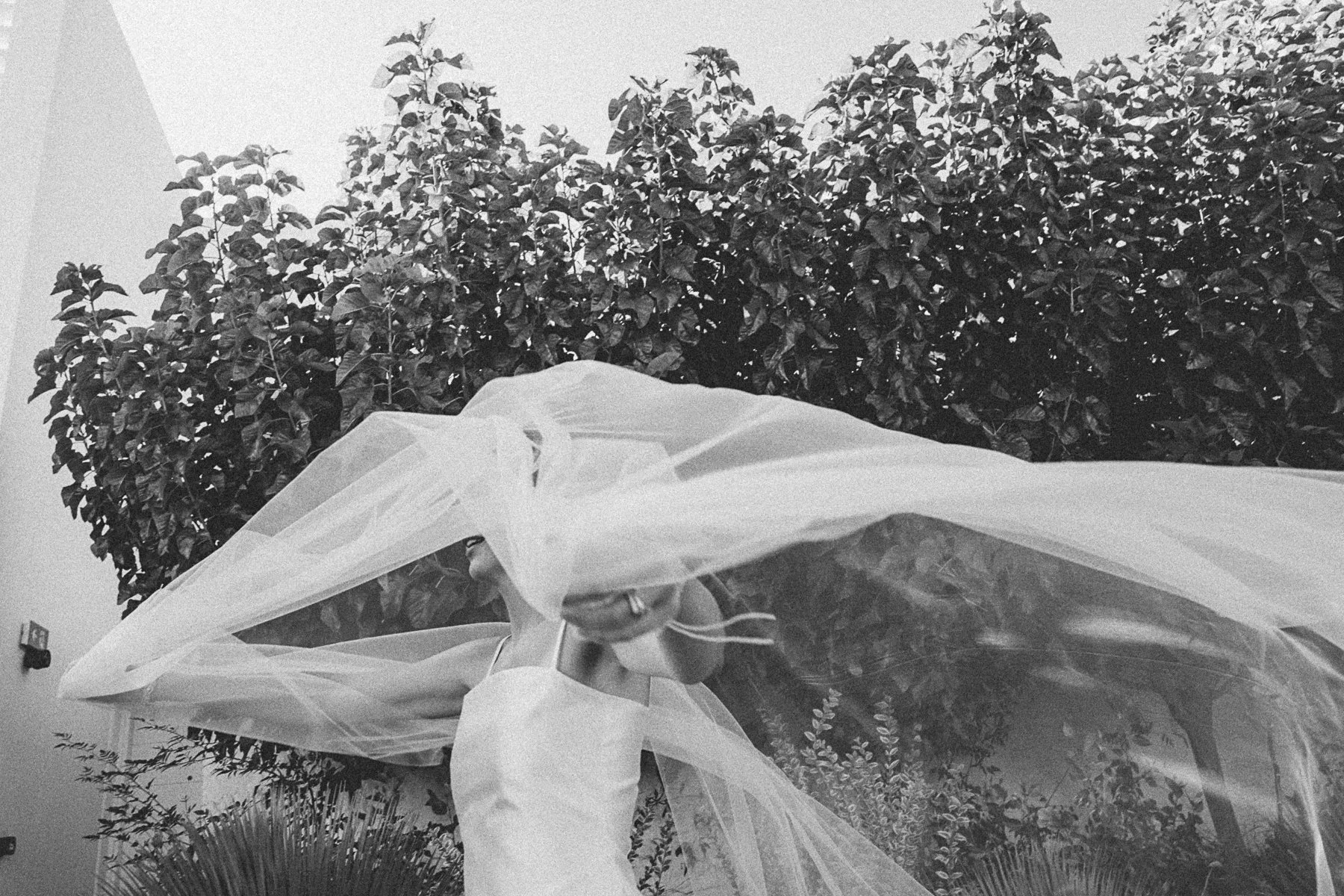 2025 web bw Patmos Wedding Bella Stiven-1.jpg
