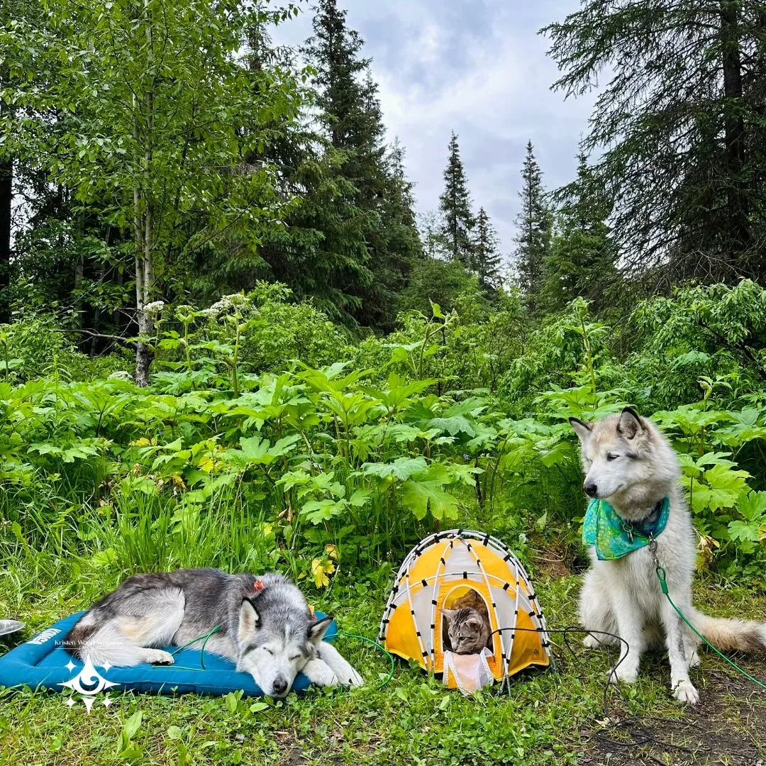 Copy of Copy of KW Wellness copy.jpg