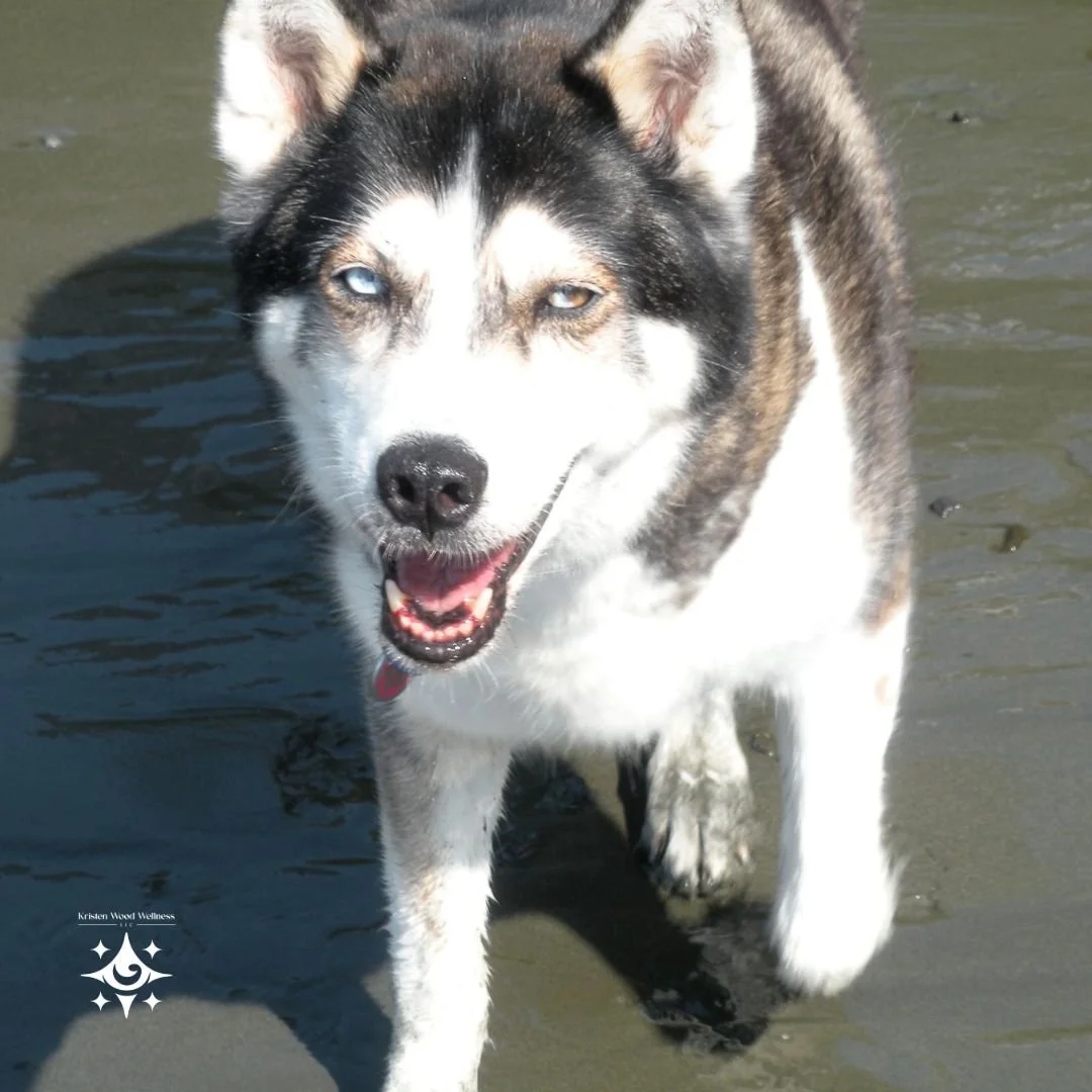 Copy of Copy of Copy of Copy of KW Wellness.jpg