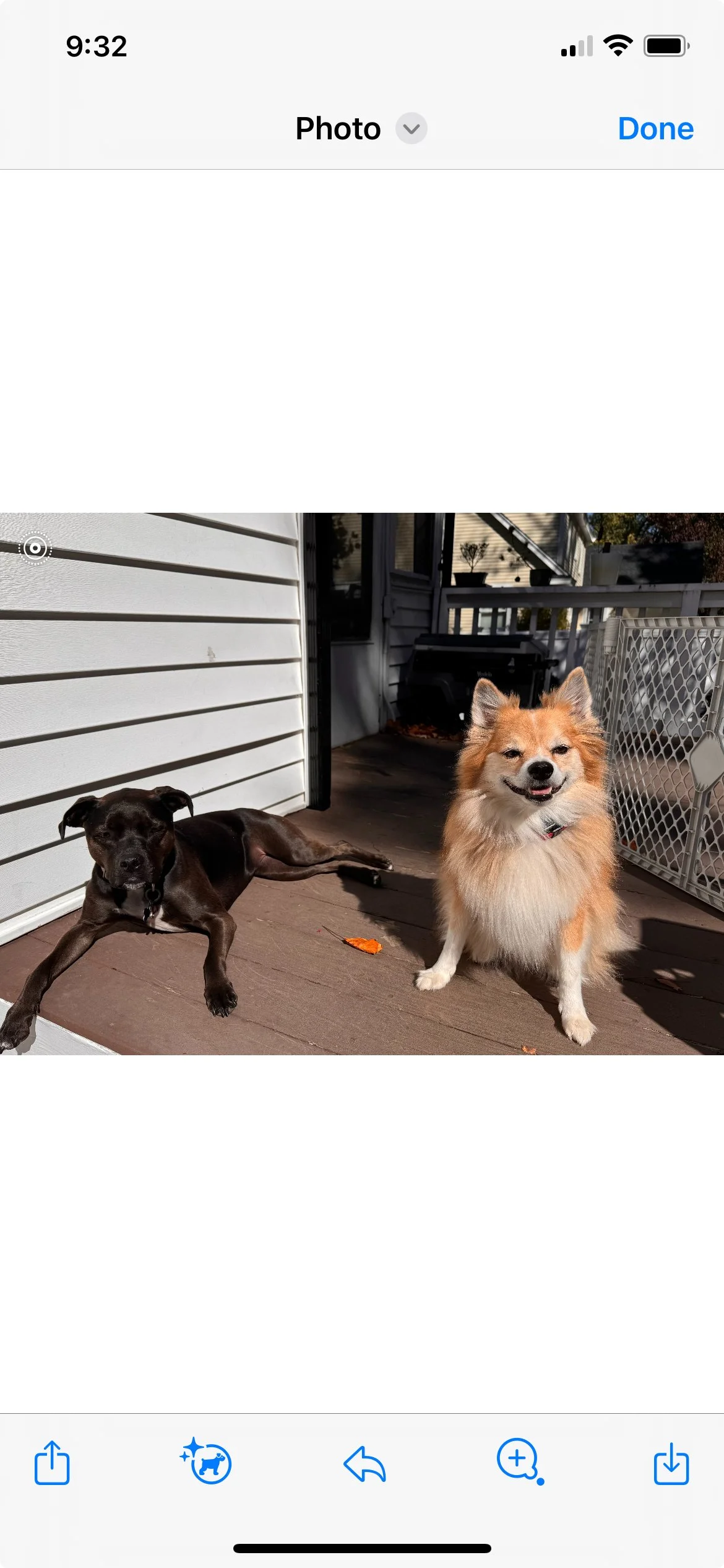 Poppy & Lil Bear.jpeg