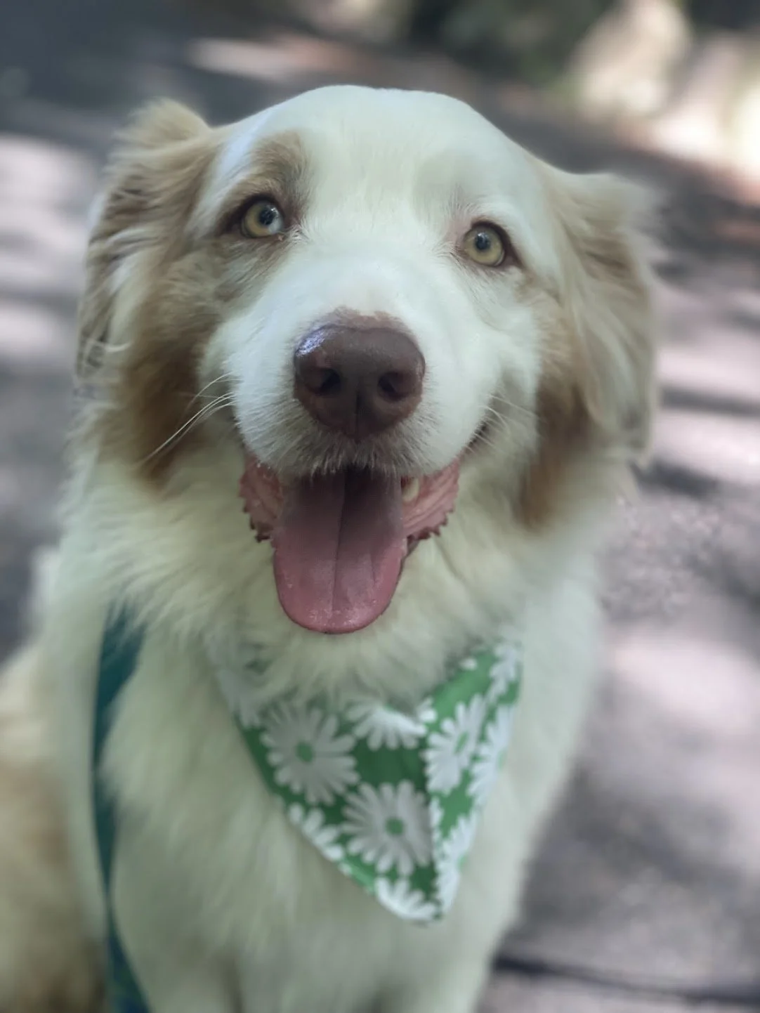 neptune for webiste.jpeg