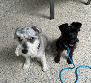 Henry & Hazel.jpg