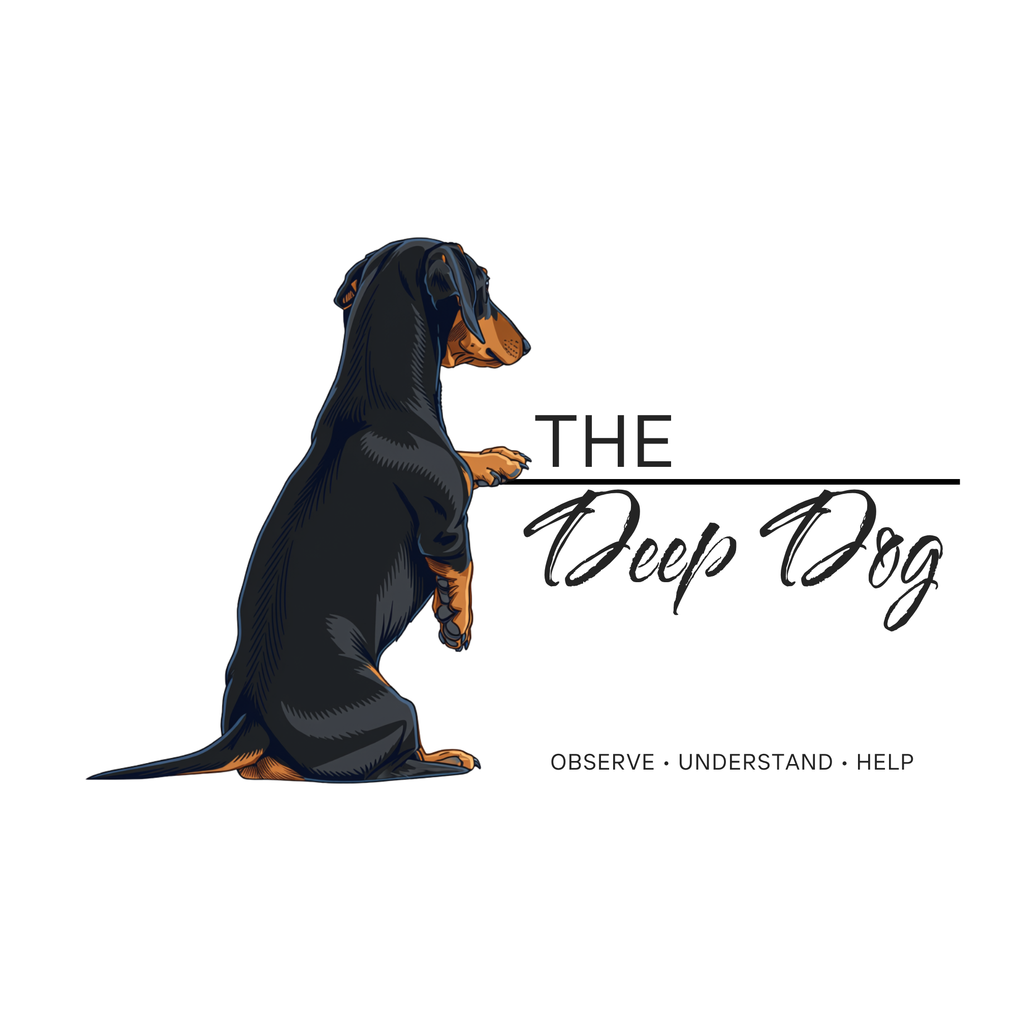 Illustration of a Dachshund with a long body and ears, sitting and looking left, with the text 'The Deep Dpg' and 'observe, understand, help' underneath.