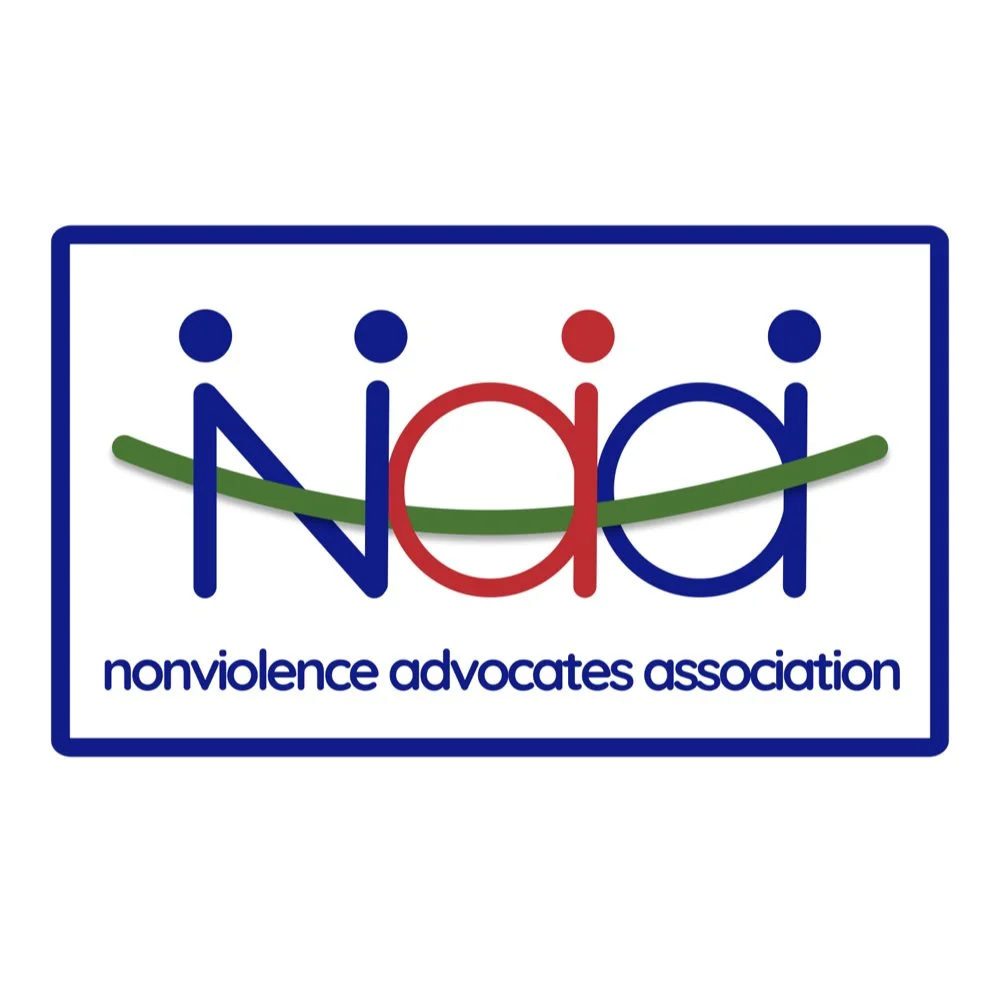 NAA - Satyagraha Institute Partners