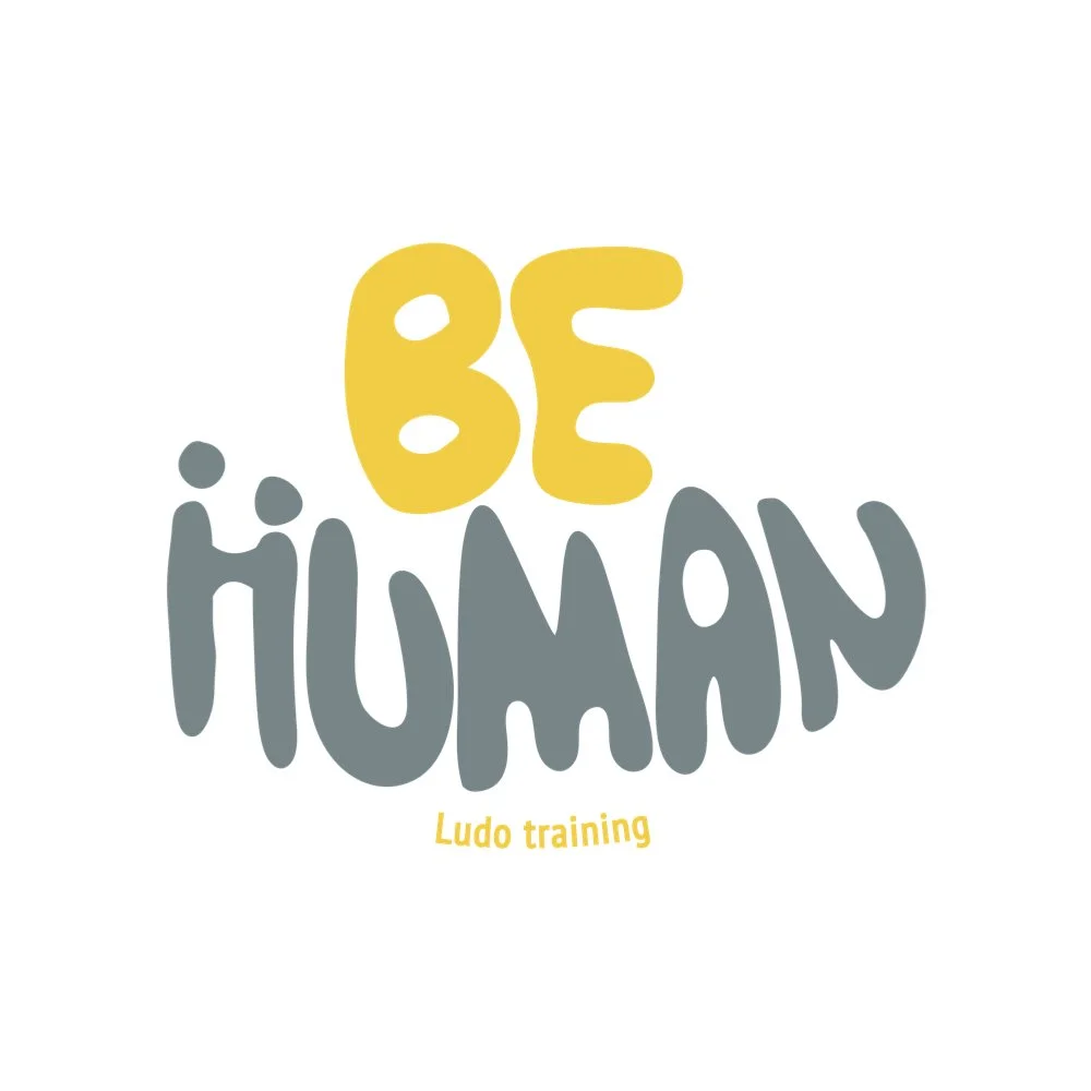 Be Human - Satyagraha Institute Partners