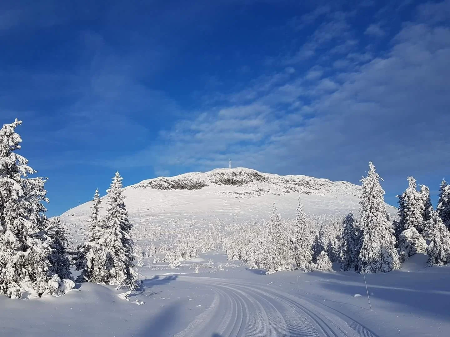 God jul og godt nytt år!