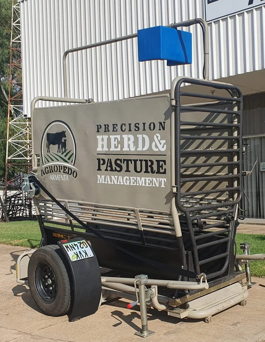 WhatsApp Image 2024-10-29 at 13.29.33.jpeg