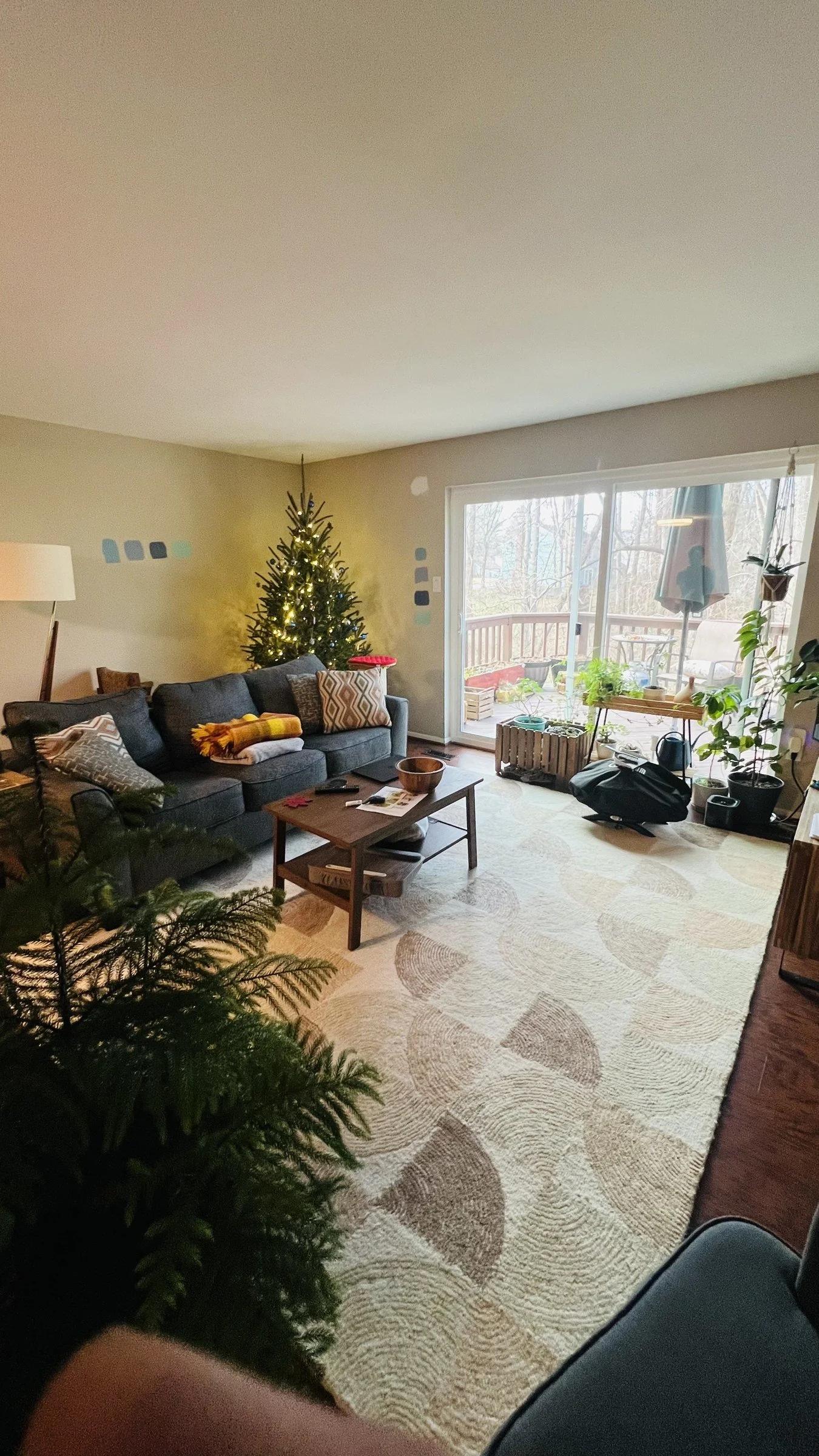 Columbia, Maryland living room before a multi-room interior repaint