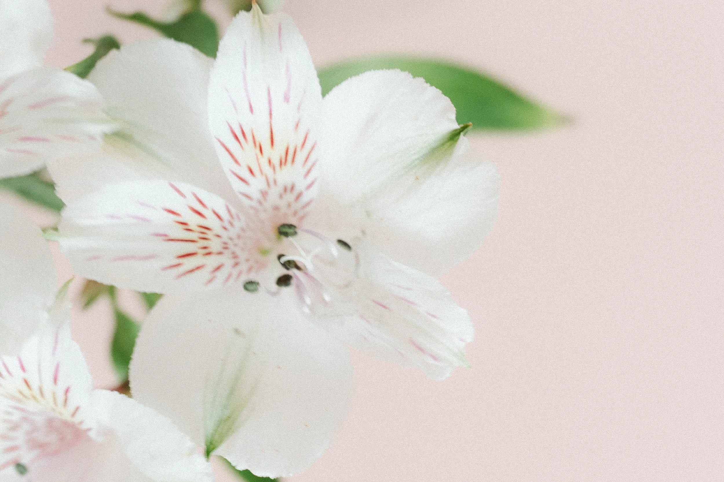 You Used to Know. Here’s How to Trust Your Gut Again.
