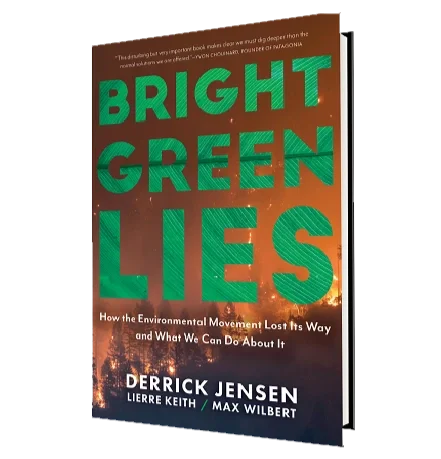 Book cover titled 'Bright Green Lies' featuring a background image of forest fires.