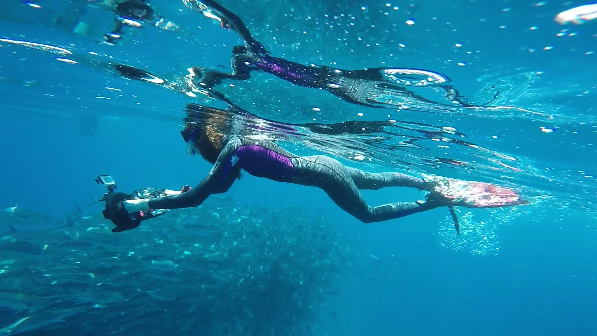 A person in a wetsuit swimming underwater with a school of fish.
