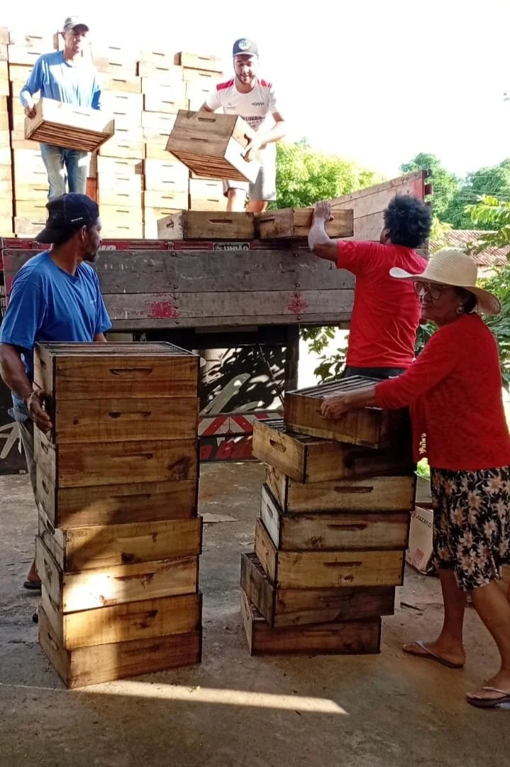 Colmeias, cultura e clima: BraÚna e Clube de Mães de Colônia fortalecem serviços ecossistêmicos com apicultura comunitária na Chapada Diamantina