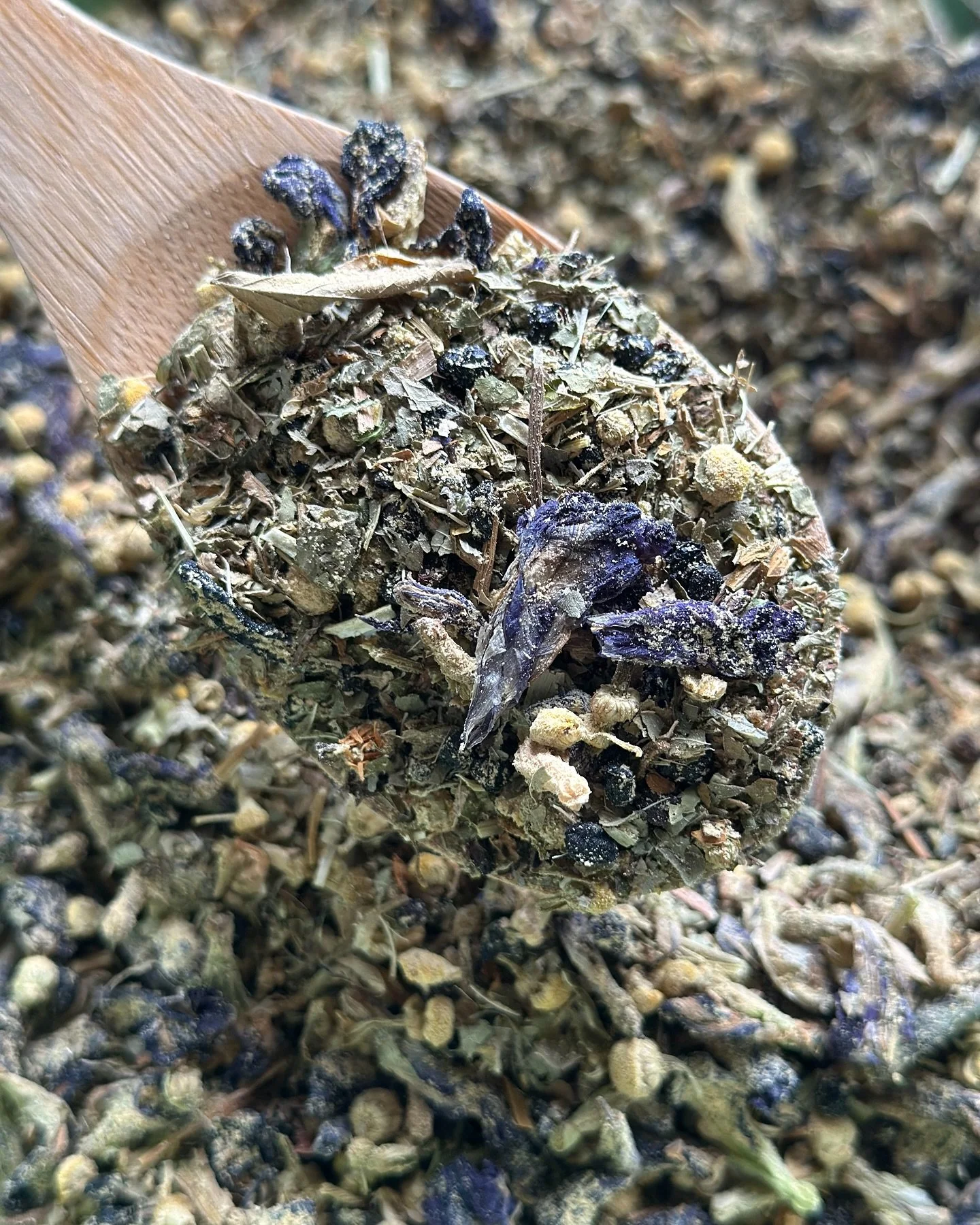 Butterfly Pea 🦋 Chamomile Tea ☕️ 

With elderberries 🍇 and a hint of ginger, high in antioxidants, this tea is gentle, supporting your immunities with tasty calm ✨ We loved it at the new moon circle in Aquarius♒️🌑