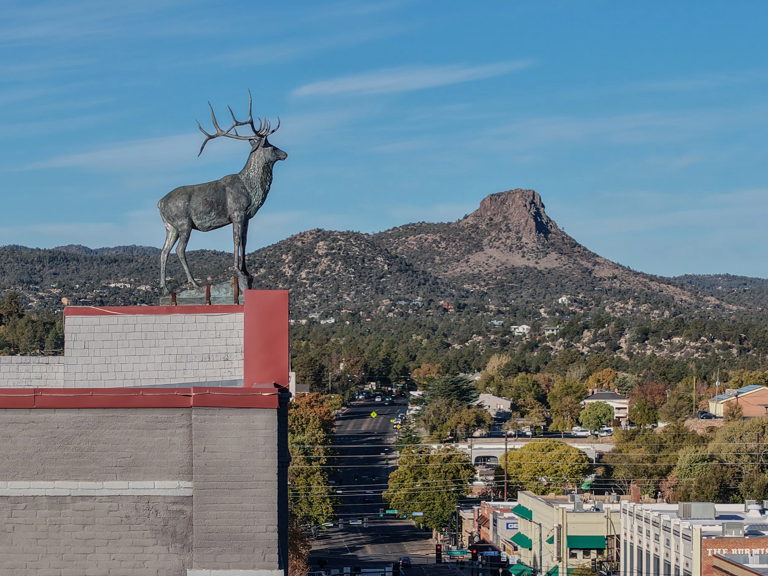 Bronze elk statue on building rooftop with background of a mountain, tree-covered landscape, and cityscape.