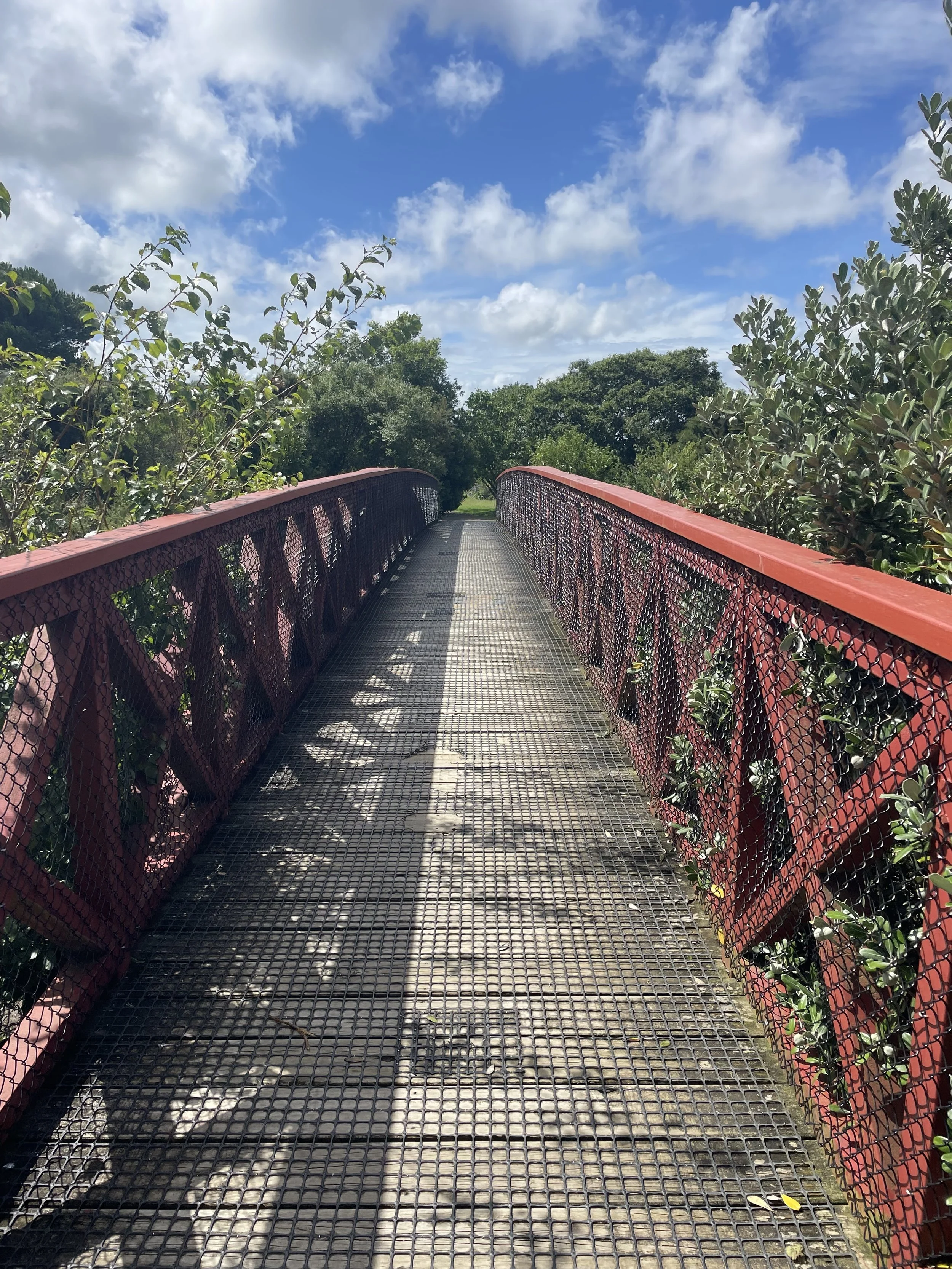 Training our Attention