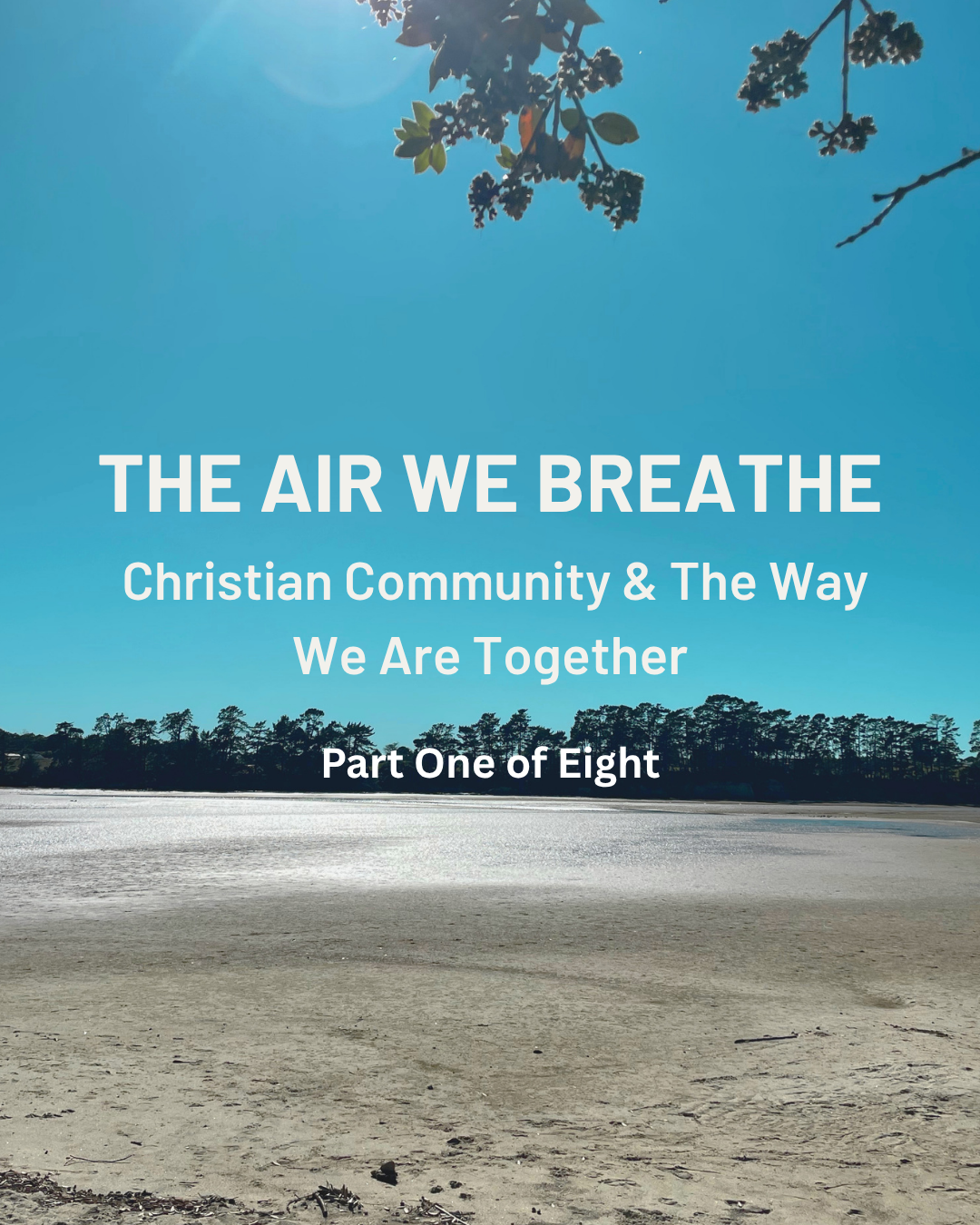THE AIR WE BREATHE: Christian Community &amp; The Way We Are Together