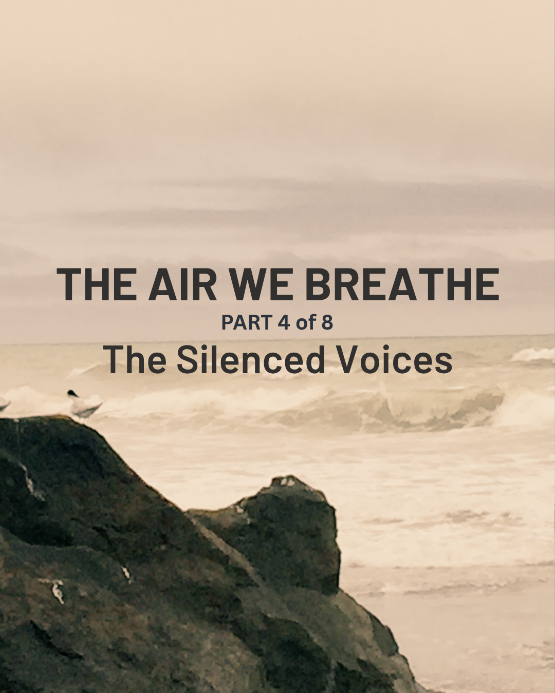  Part 4: The Silenced Voices