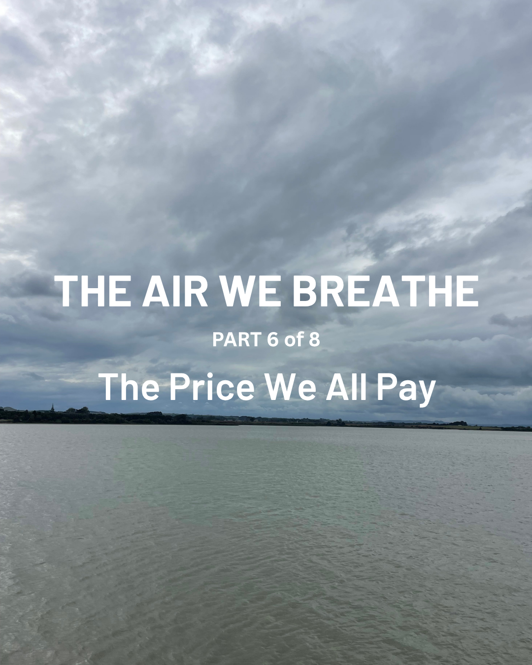 Part 6: The Price We All Pay