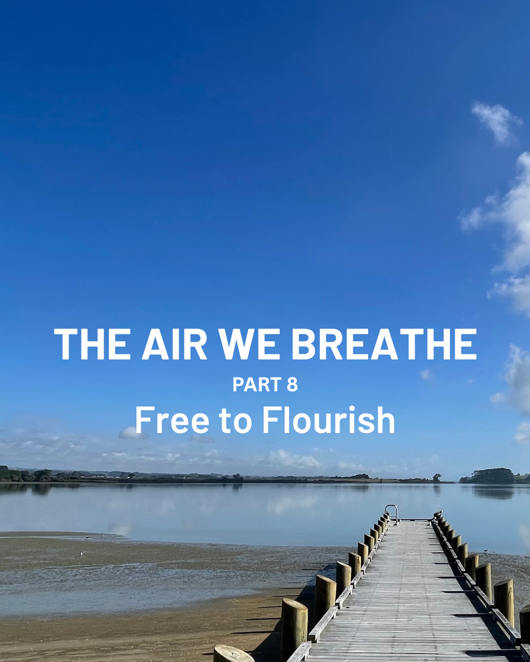 Part 8: Free to Flourish