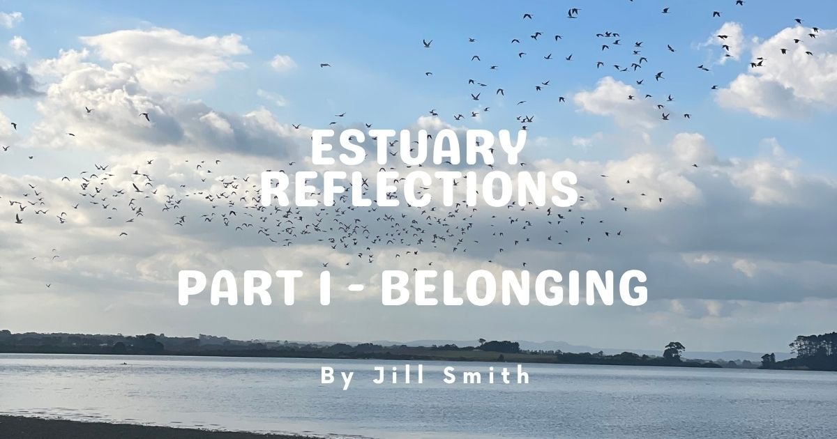 Part 1 - Estuary Reflections - Belonging