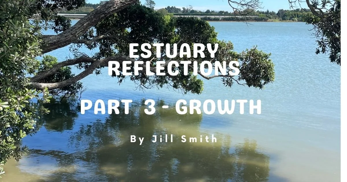 Part 3 - Estuary Reflections - Growth