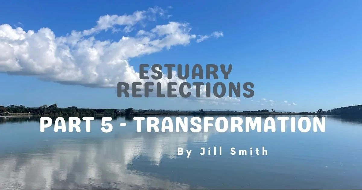 Estuary Reflections   Pt.5 Transformation