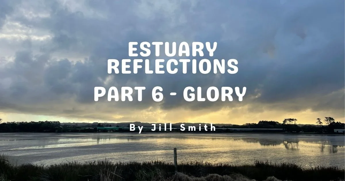 Part 6 - Estuary Reflections - Glory