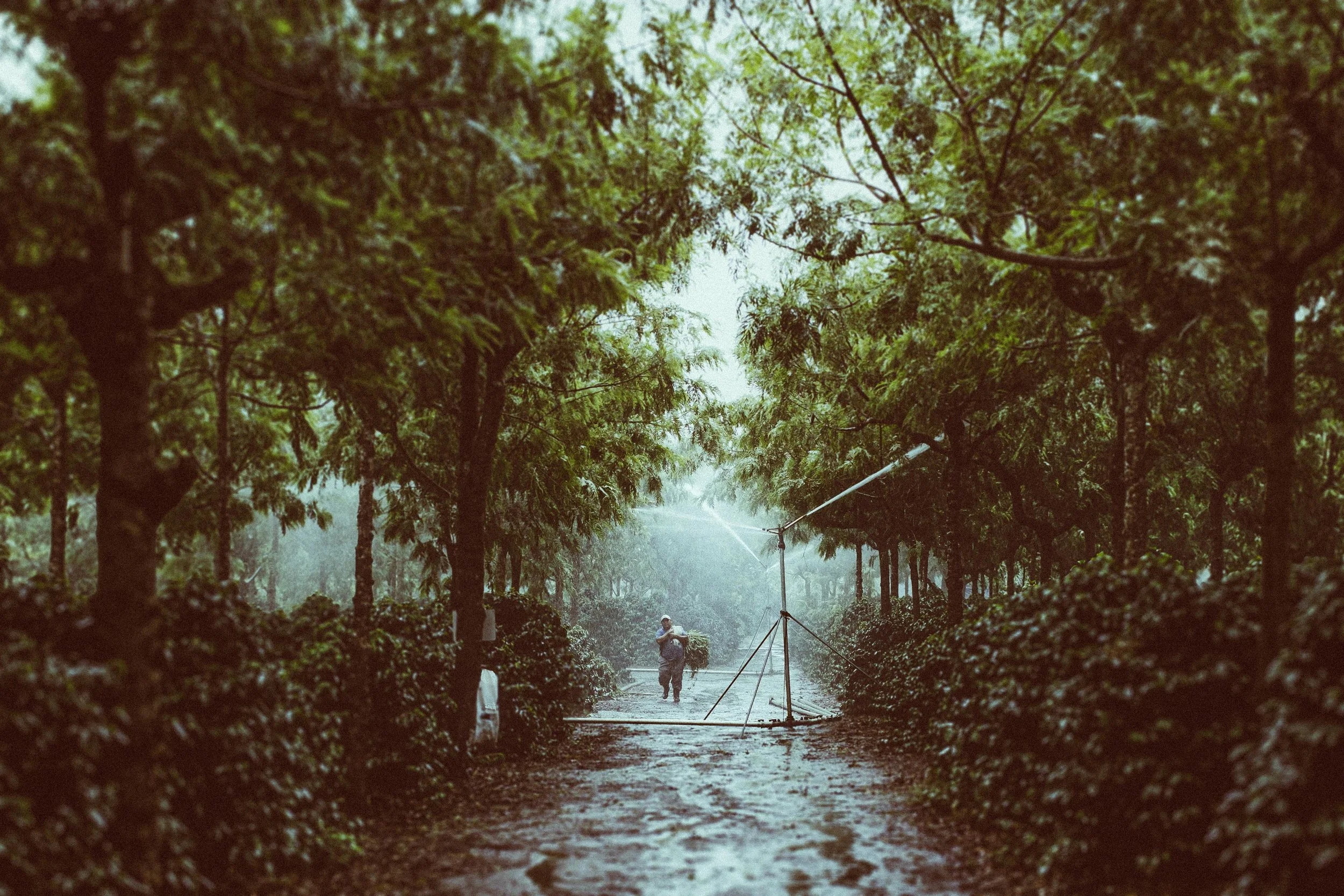 guatemala-9.jpg