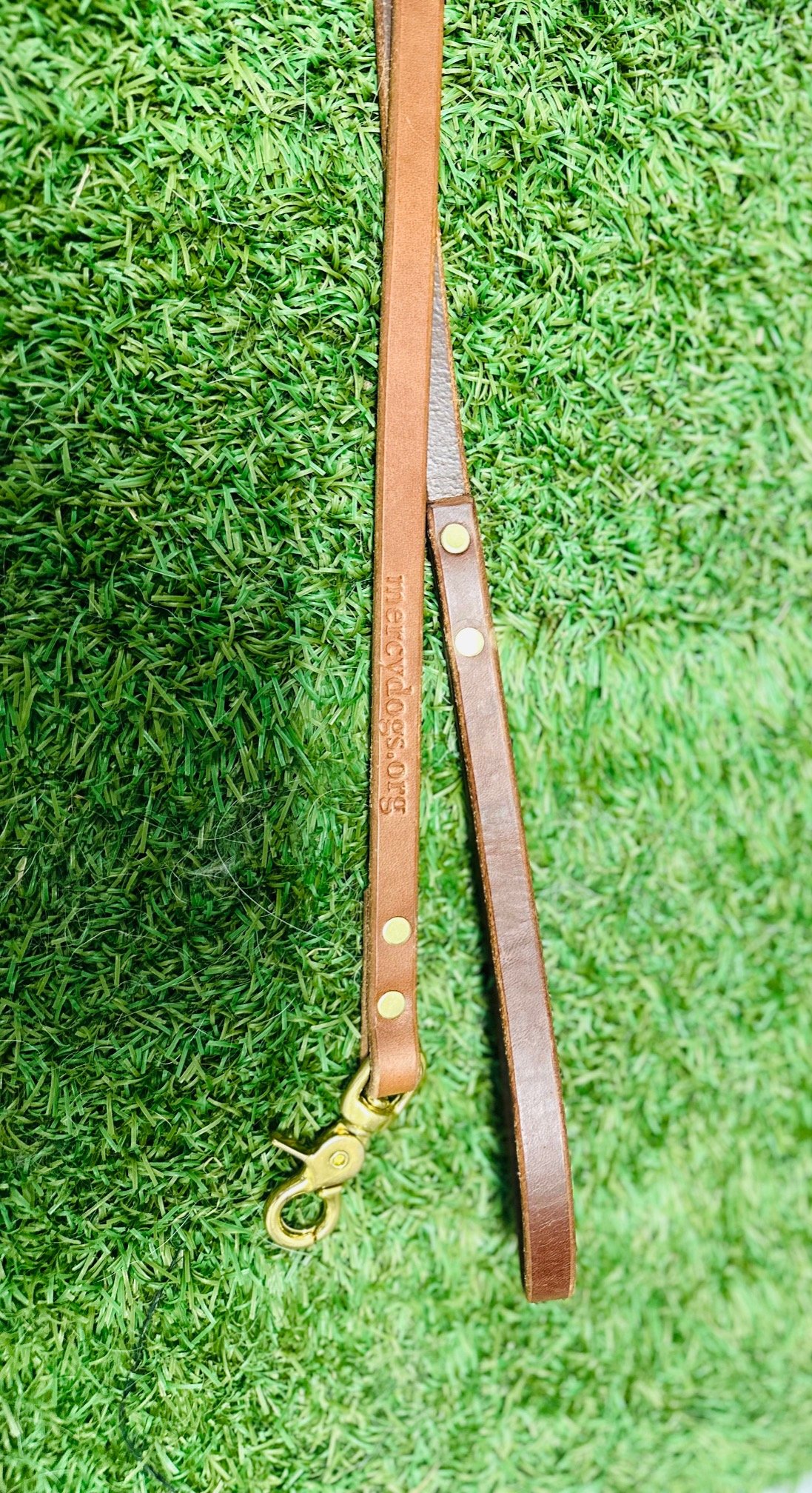Small Brown Leash.jpg