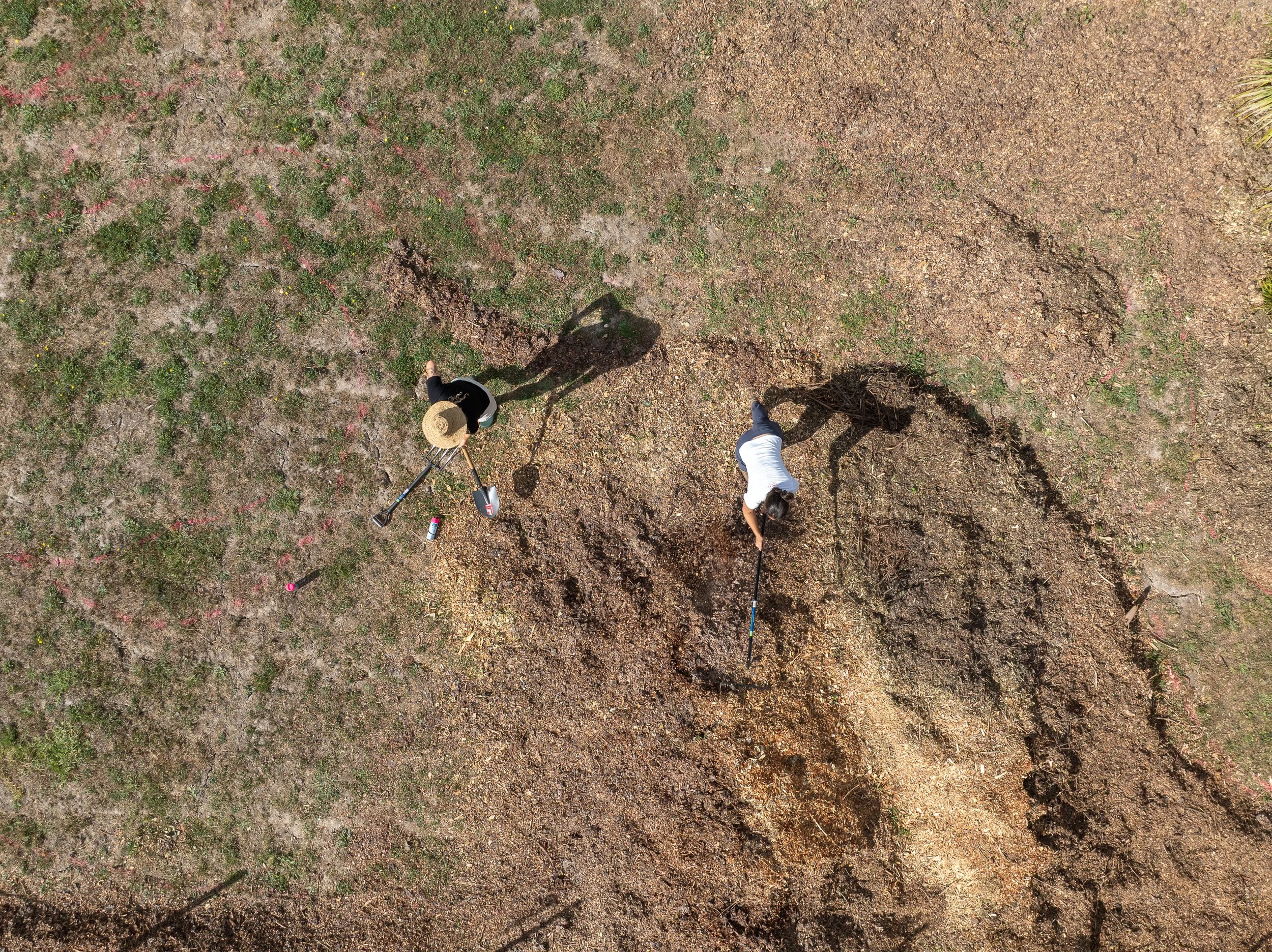 Holli McEntegart Garden_Drone_Day 1-30.jpg