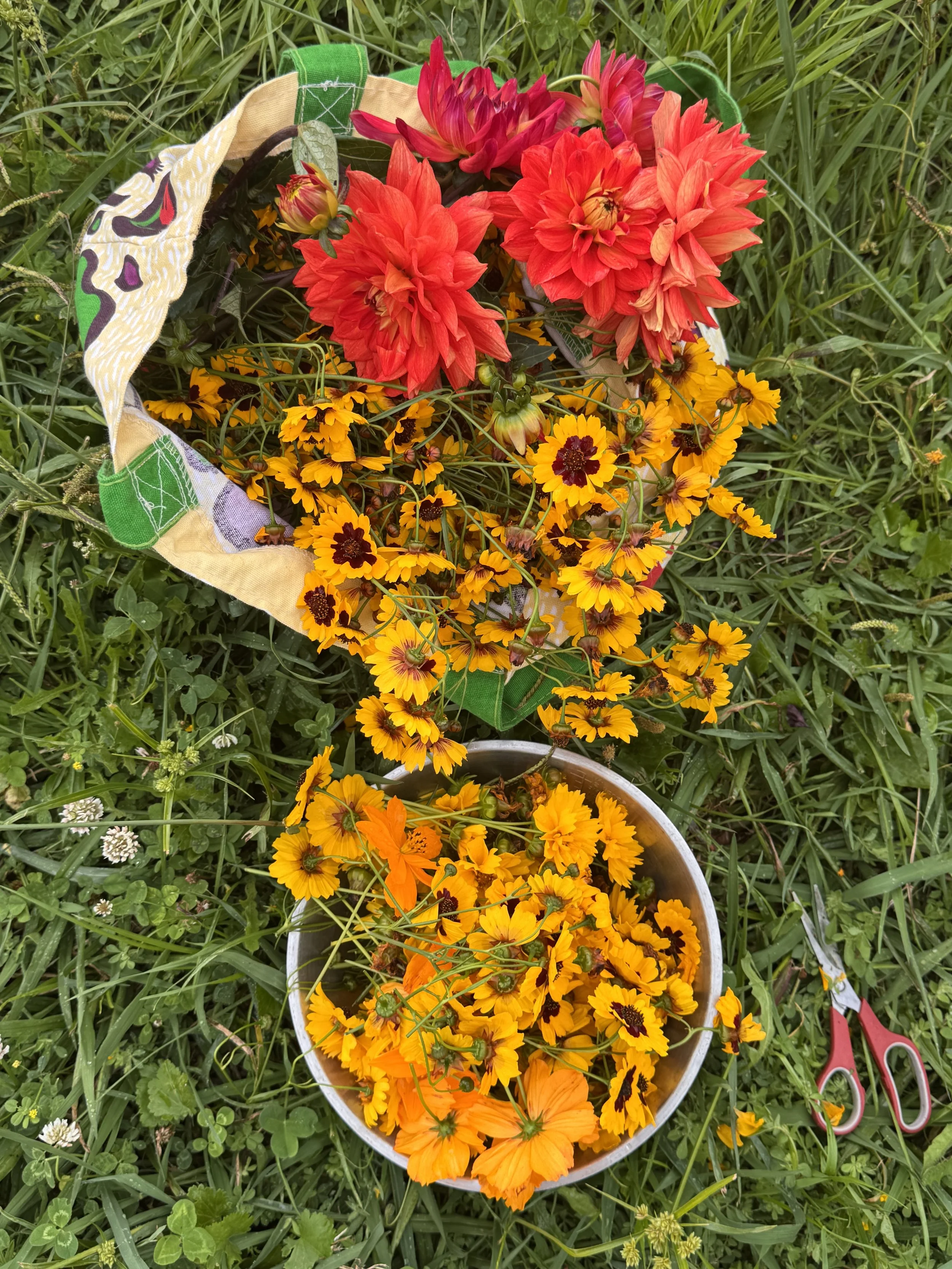 IMG_9185.jpeg