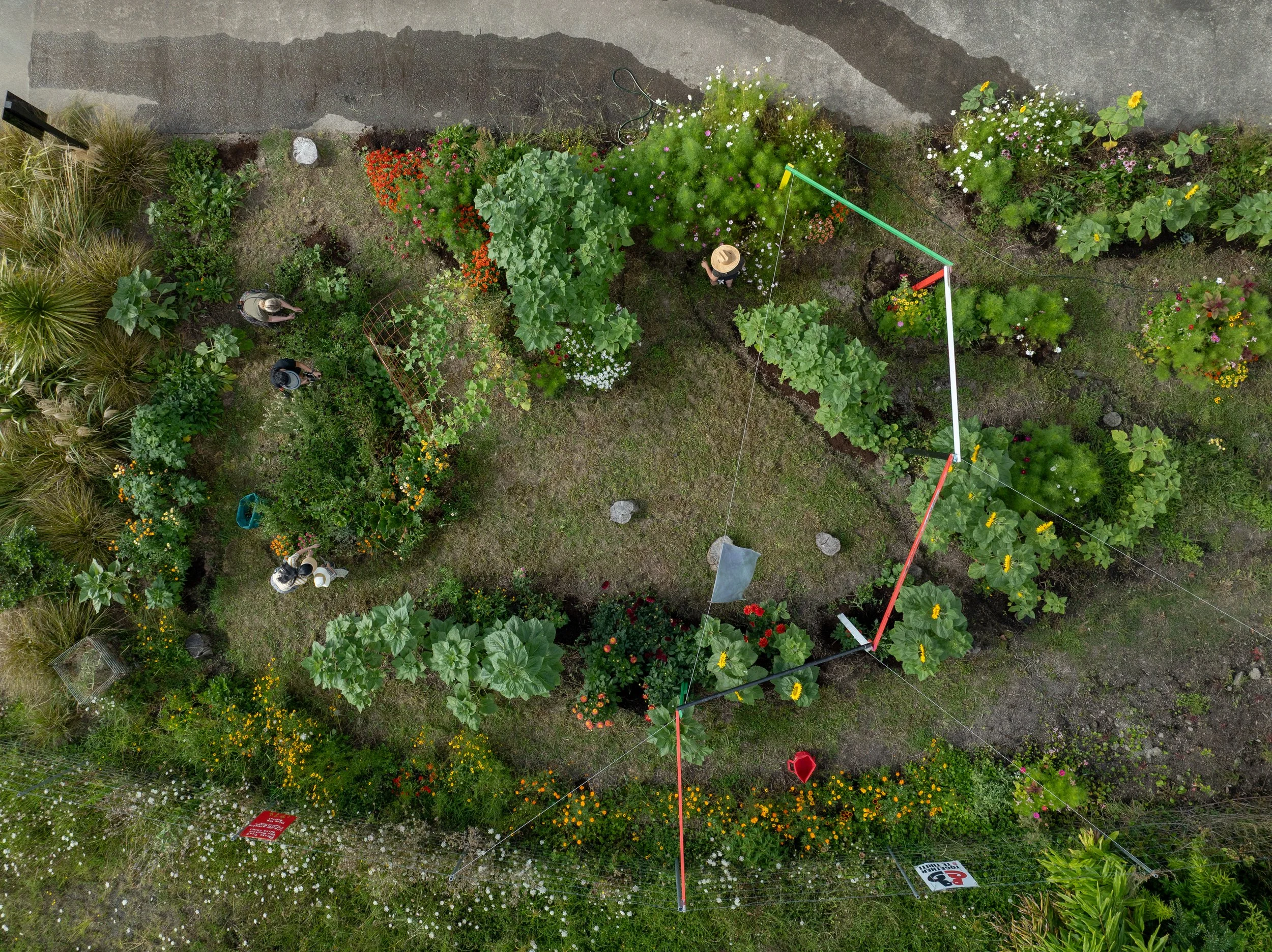 Holli Garden Jan thirtyfirst-61.jpg